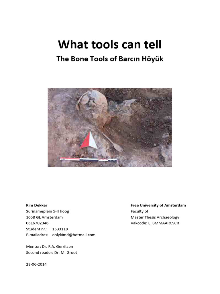 What Tools Can Tell The Bone Tools of Ba | PDF | Milk | Cheese