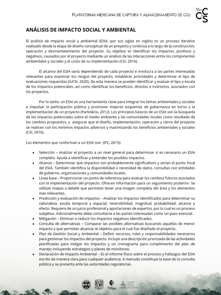 Evaluación de Impacto Ambiental y Social | PDF | Evaluación de impacto ...