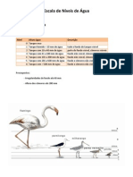 Escala Aves Cartão Adaptada