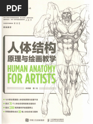 人体结构原理与绘画教学| PDF