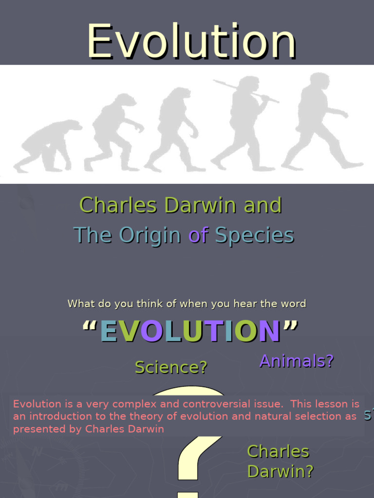 Evolution Presentation | PDF | Natural Selection | Evolution