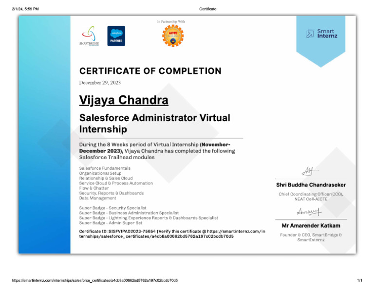 Internship Certification Salesforce | PDF