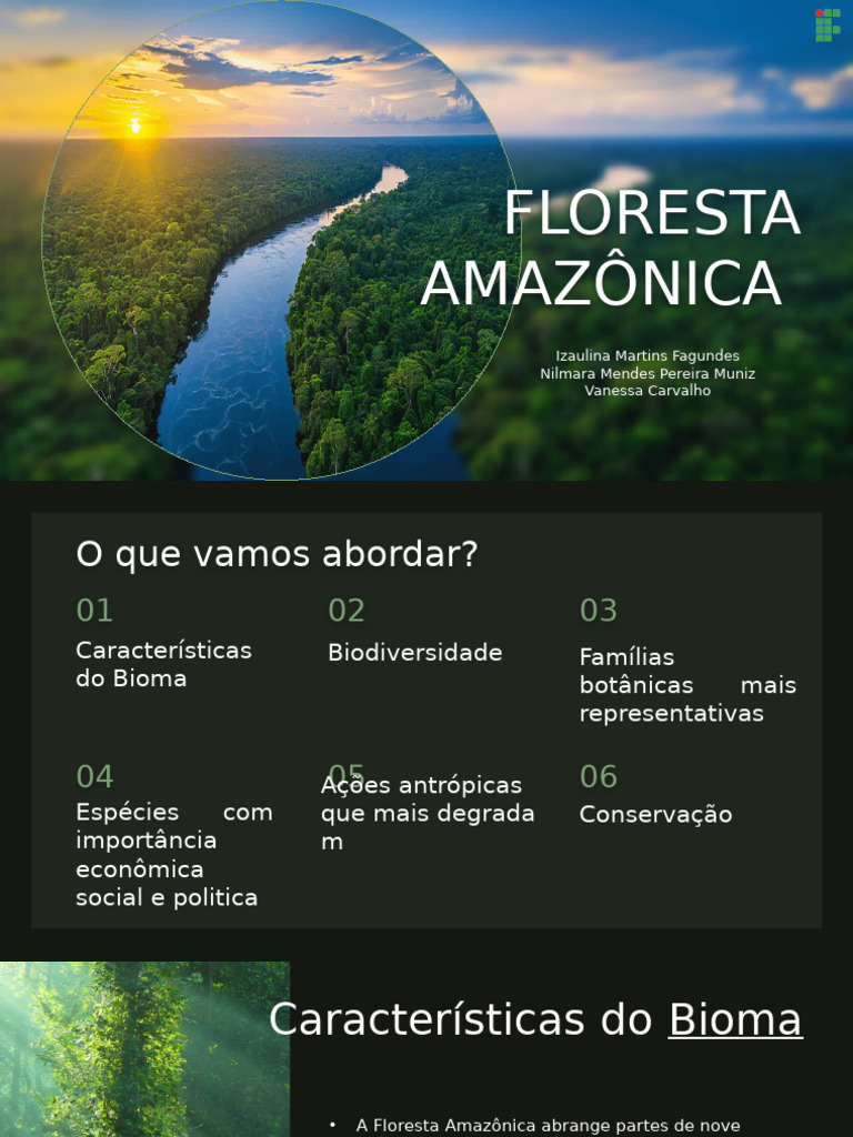 Características da Floresta Amazônica | PDF | Floresta Amazônica ...