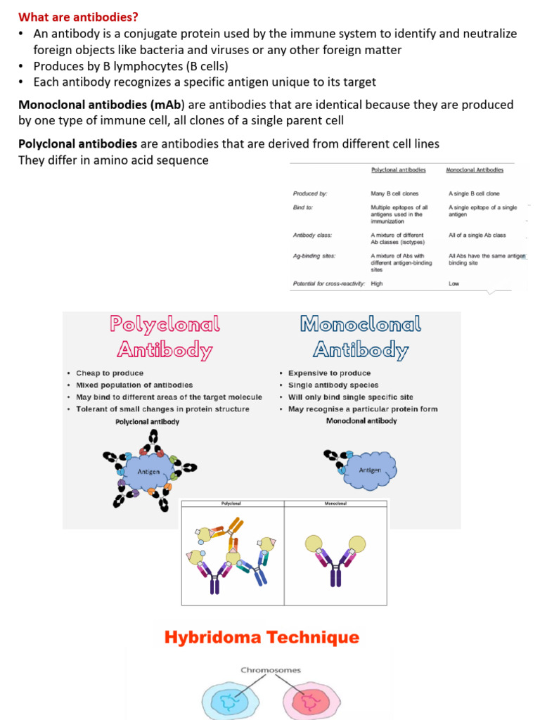 Pharma-Biotech 3 | PDF | Monoclonal Antibody | Gene Therapy