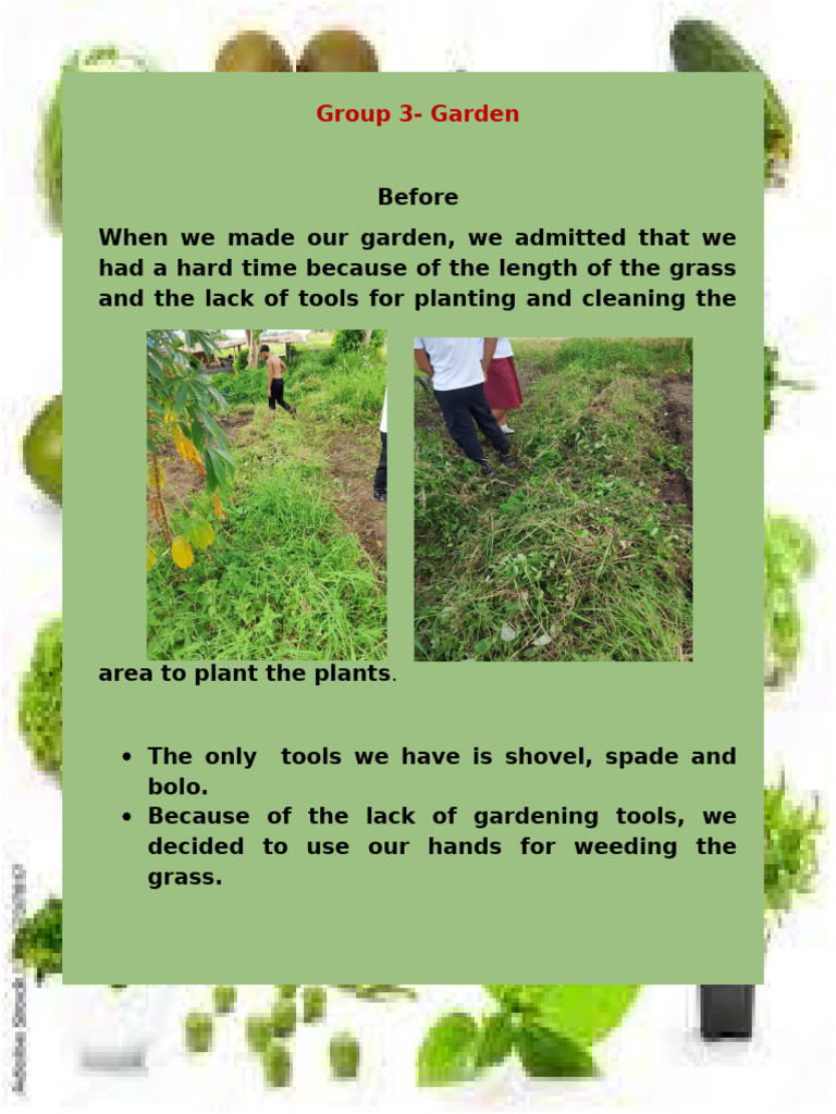 Document 3 | PDF | Home & Garden | Science & Mathematics