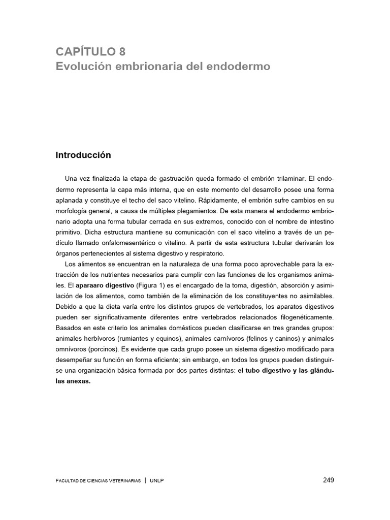 Evolución del Endodermo Embrionario | PDF | Pulmón | Tracto ...