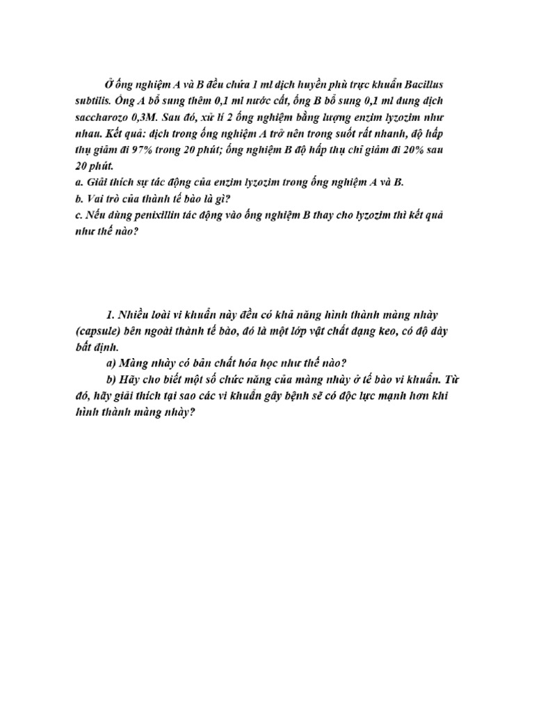 VSV | PDF