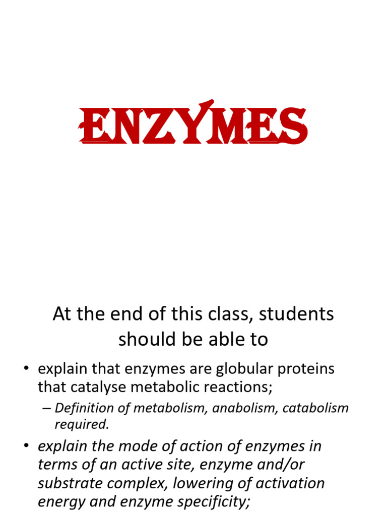 Understanding Enzymes and Their Functions | PDF | Enzyme | Proteins