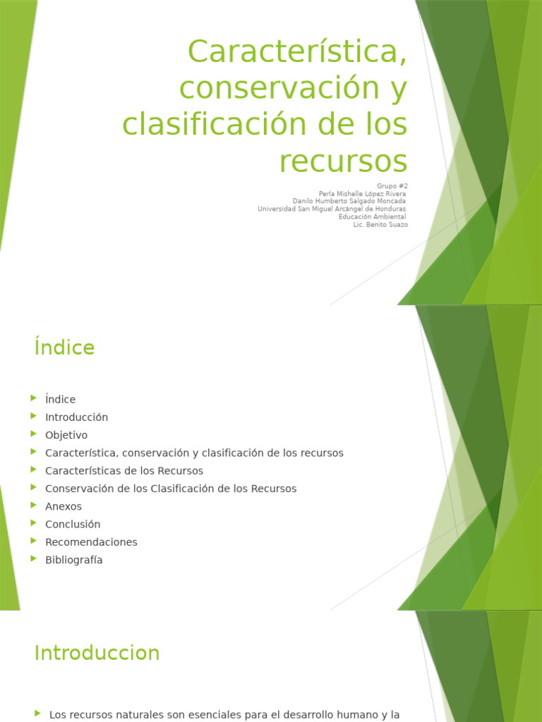 Característica Conservación y Clasificación de Los Recursos | PDF ...