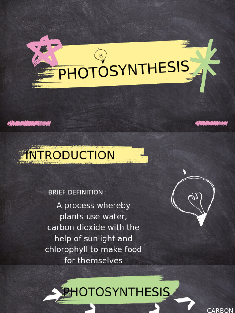 Photosynthesis Process Explained | PDF | Photosynthesis | Carbon Dioxide
