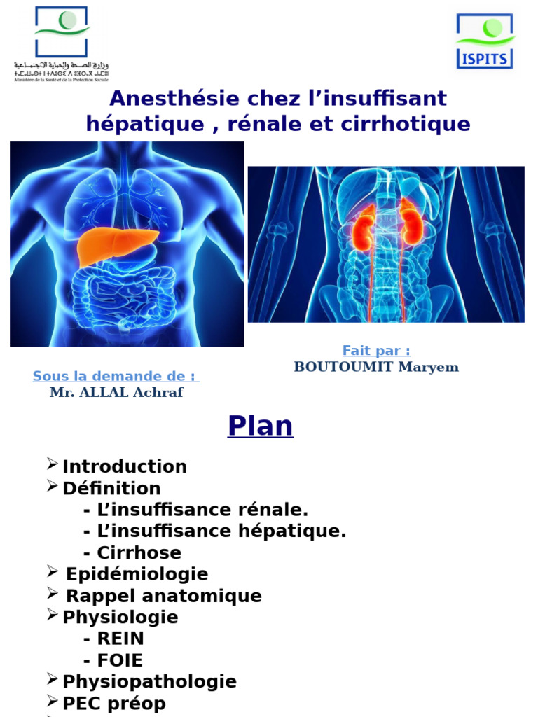 Irhc S4 | PDF | Insuffisance rénale chronique | Rein