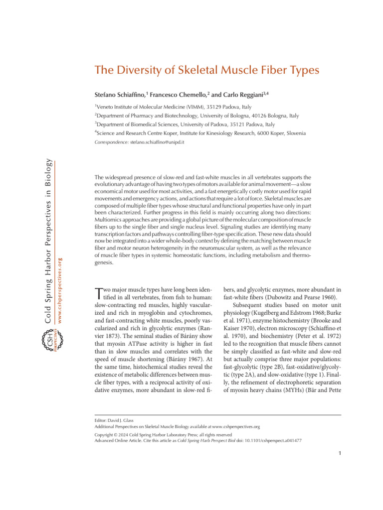 The Diversity of Skeletal Muscle Fiber Types (Schiaffino Et Al., 2024 ...