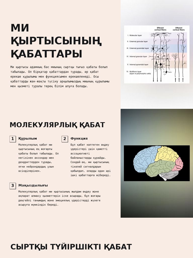 Үлкен жопа анальды порно көру