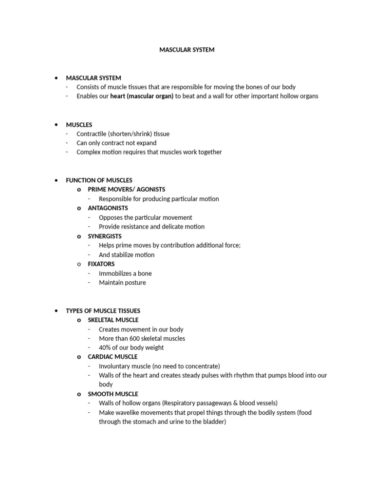 MASCULAR SYSTEM | PDF | Muscle | Morphology (Biology)