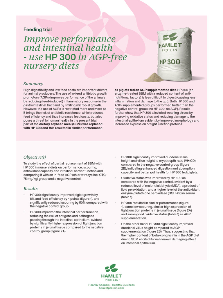 Boost Piglet Health with HP 300 | PDF | Gastrointestinal Tract ...