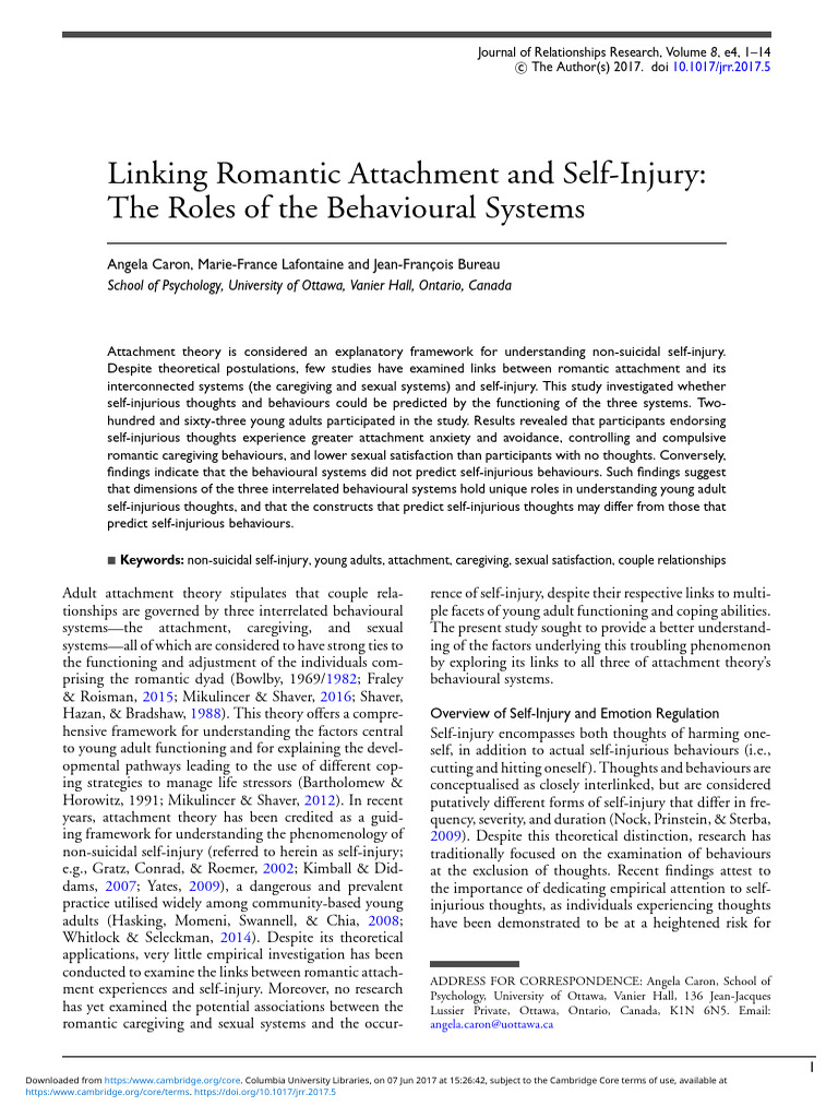 Linking Romantic Attachment and Self-Injury The Roles of The ...