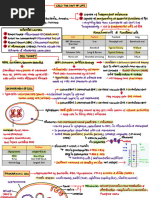 Molecular Basis of Inheritance - Super Notes by Seep Pahuja | PDF ...