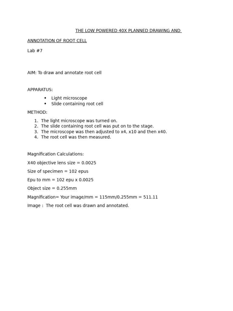 Root Cell Drawing & Annotation Guide | PDF