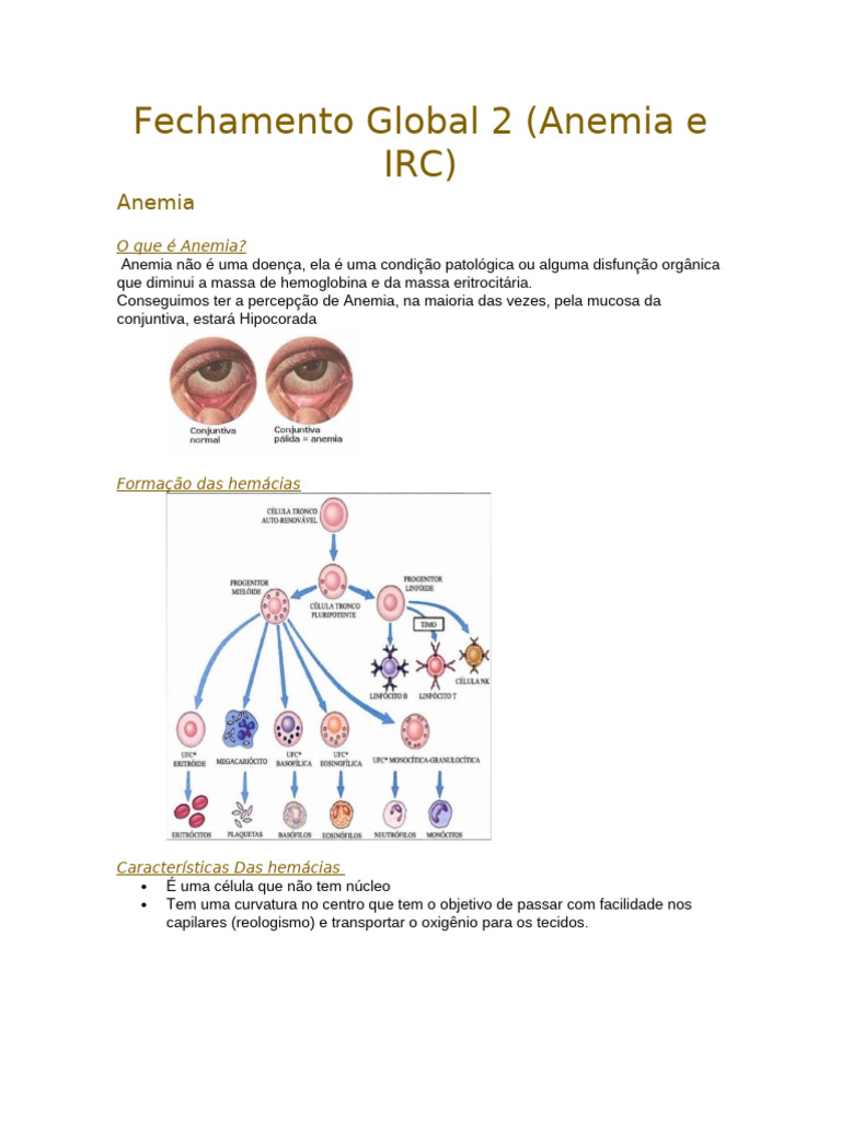 Anemia e Insuficiência Renal Crônica | PDF | Anemia | Rim