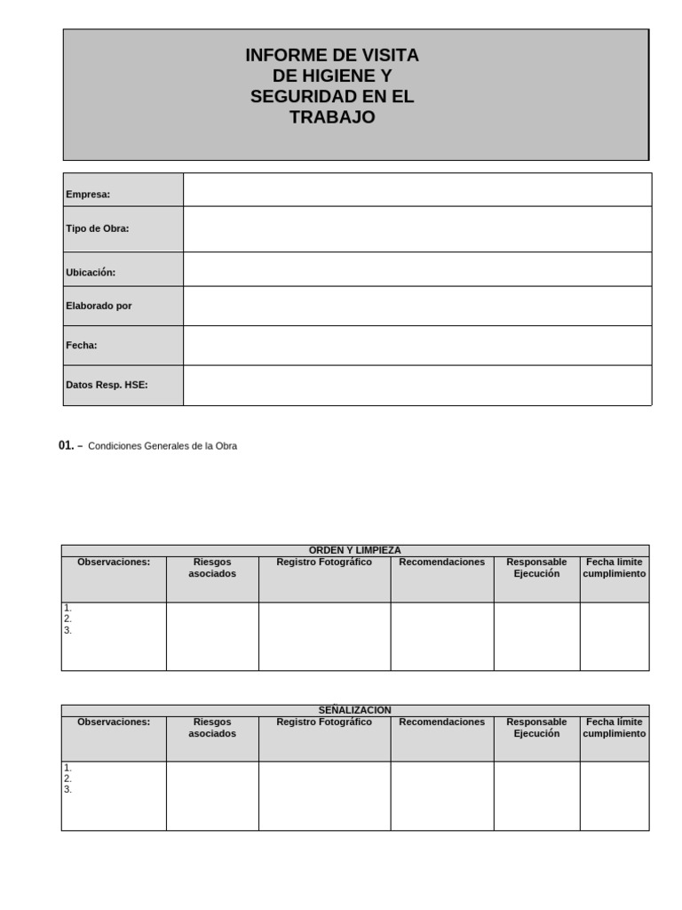Informe de Higiene y Seguridad Laboral | PDF