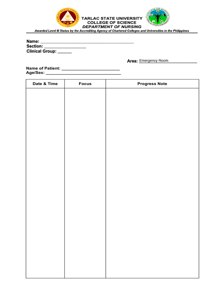 FDAR Charting | PDF