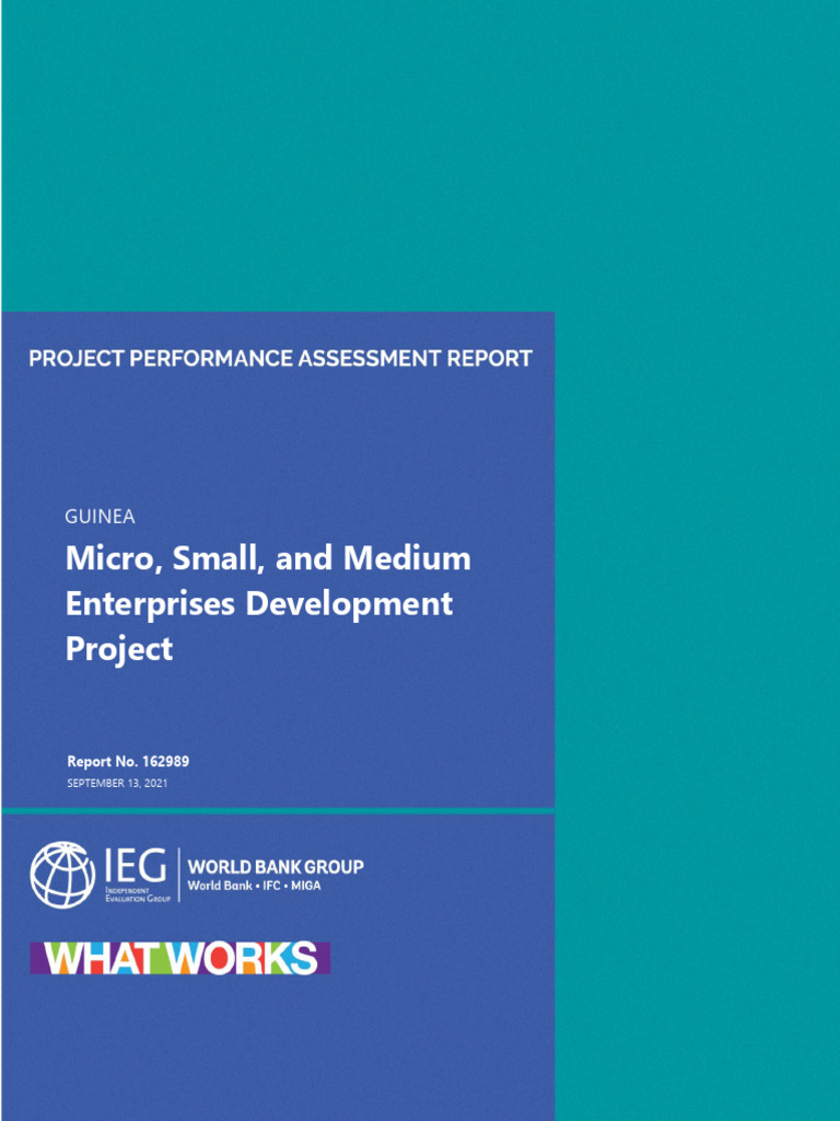 Guinea Micro Small and Medium Enterprises Development Project | PDF ...
