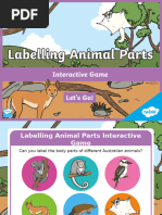 Labeled Diagram of Lizard Parts | PDF | Claw