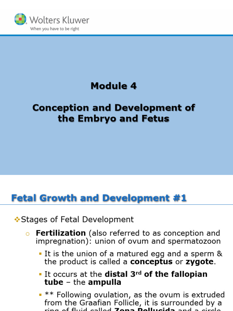 Fertilization Implantation | PDF | Placenta | Fetus
