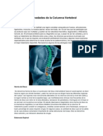 Enfermedades de La Columna Vertebral