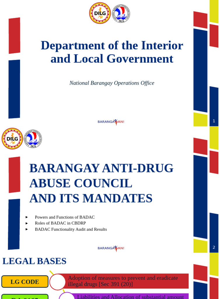 BADAC Roles and Functions Overview | PDF | Drug Rehabilitation ...