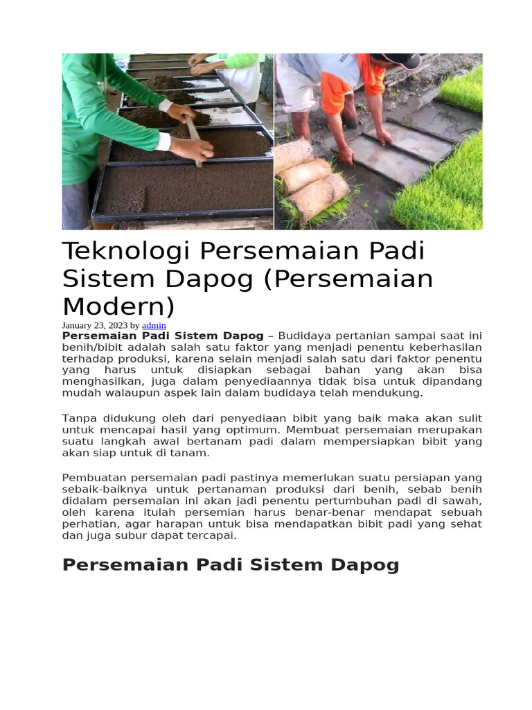 Teknologi Persemaian Padi Dapog | PDF