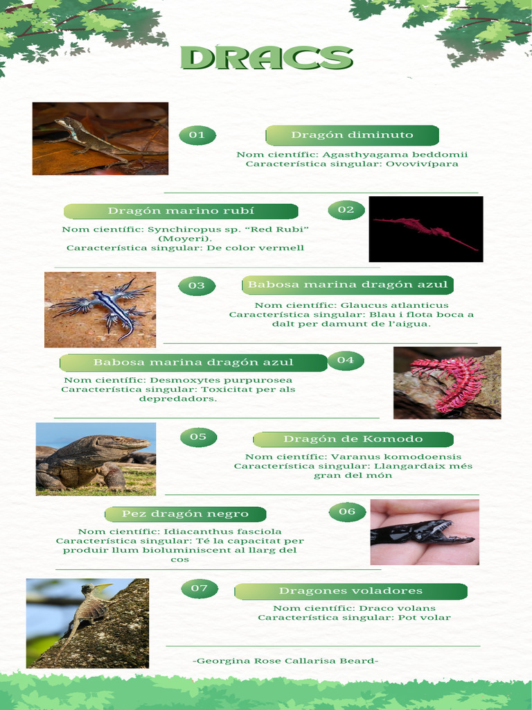 Dracs | PDF