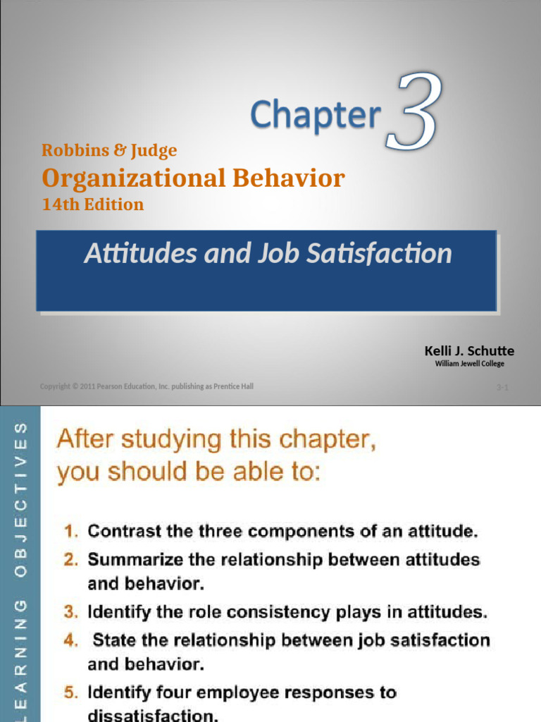 Chap 03 Attitude and Job Satisfaction | PDF | Attitude (Psychology ...