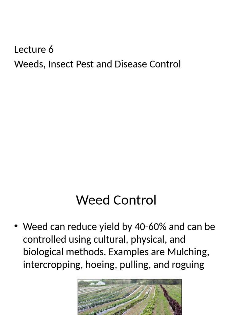 Effective Weed and Pest Control in Vegetables | PDF | Vegetables | Crop ...