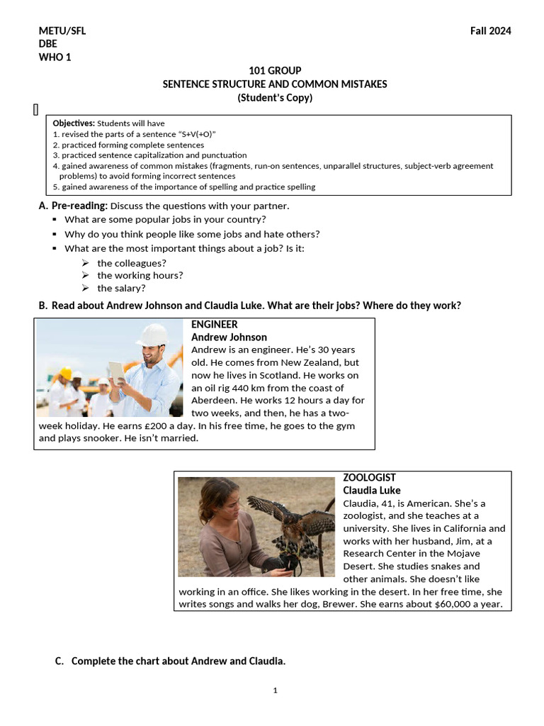 101-WHO 1 Sentence Structure and Common Mistakes Sts | PDF | Plural | Verb
