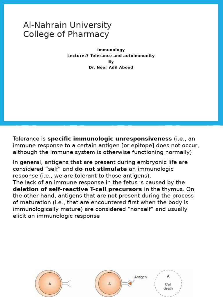 Tolerance and Autoimmunity in Immunology | PDF | Immune Tolerance | T Cell