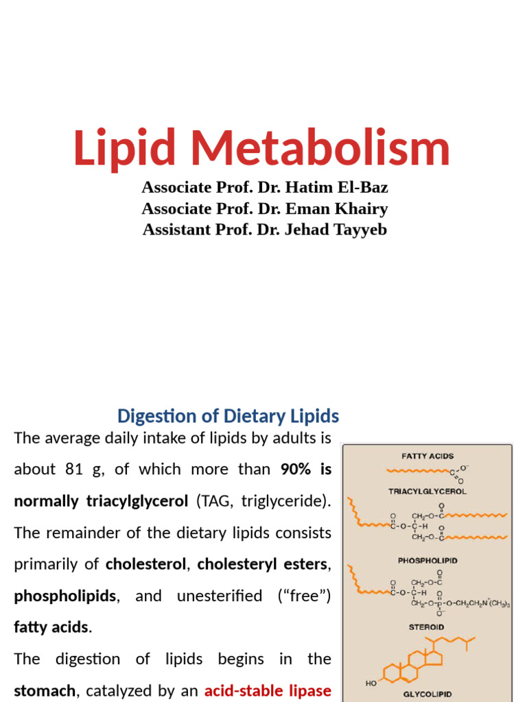 8 Lipid Metabolism | PDF | Lipoprotein | Fatty Acid