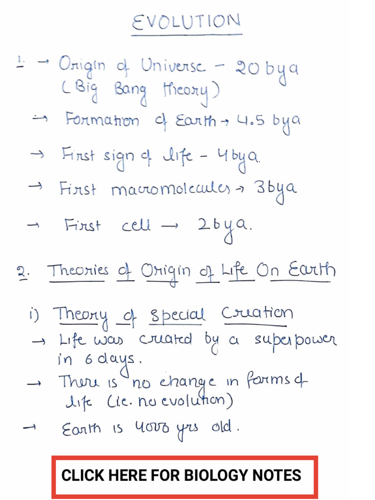 Evolution Notes | PDF