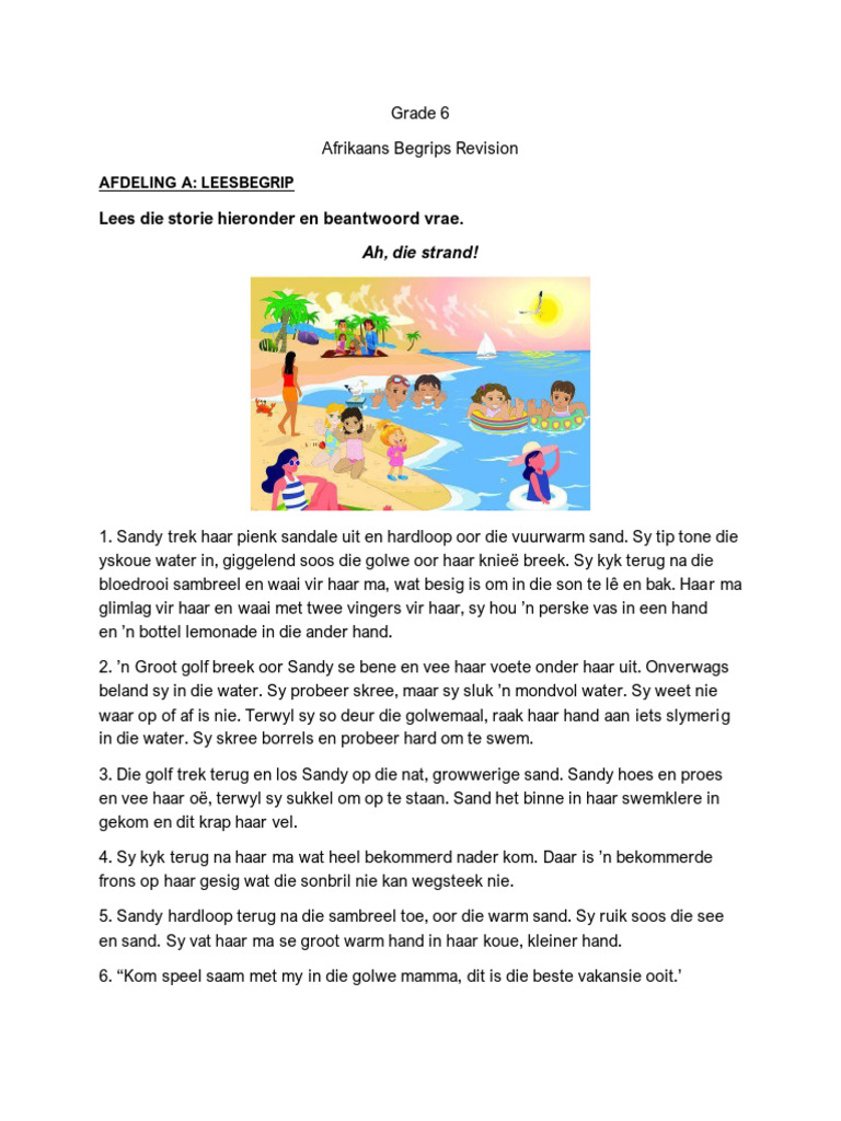 Grade 6 Afrikaans Begrips | PDF