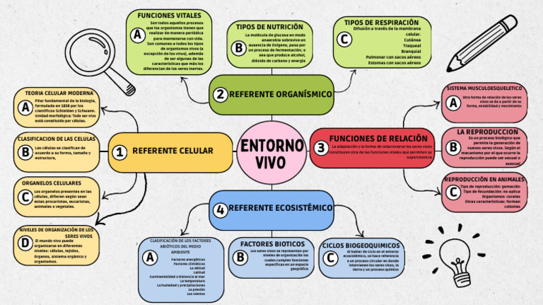 Mapa Mental Entorno Vivo | PDF | Organismos | Biología Celular)