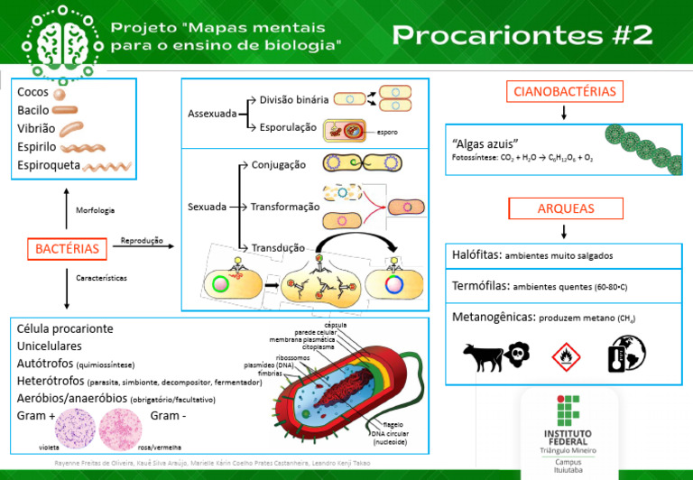 3.1. Procariontes - mapa mental | PDF | Célula (Biologia) | Ciências da ...