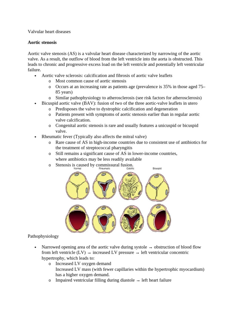 Valvular Heart Diseases | PDF | Heart Valve | Heart
