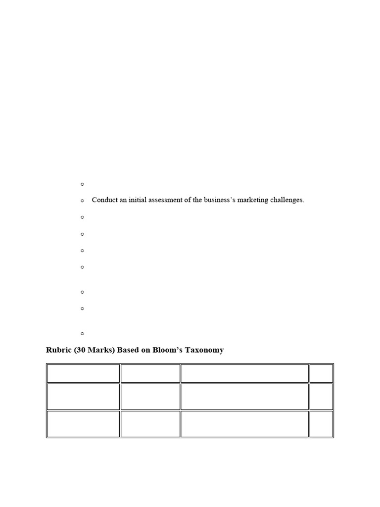 Marketing Strategy Assignment Guide | PDF | Marketing | Marketing Strategy