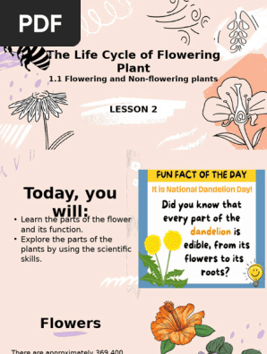 1.1 Flowering and Non-Flowering Plants