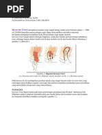 Download InversioUteribyfjundullahSN78294378 doc pdf