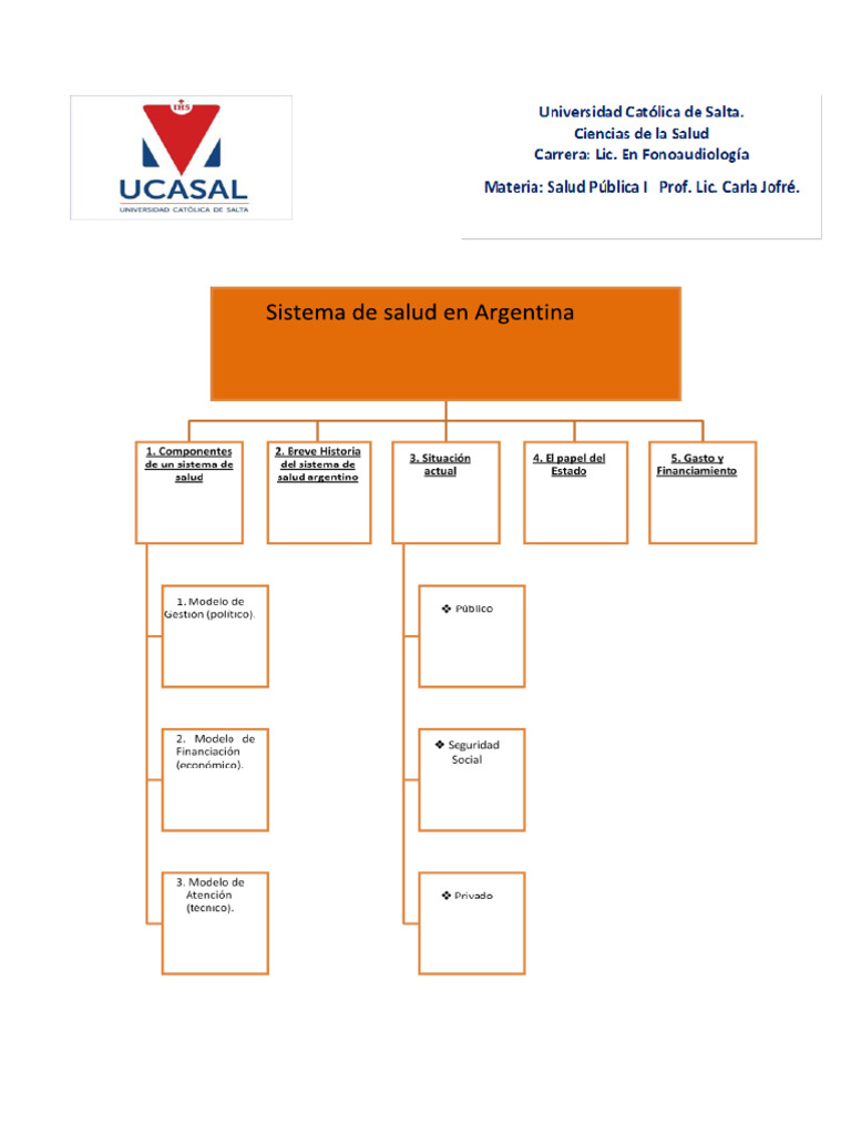 Estructura del sistema de salud argentino | PDF | Desigualdad social ...