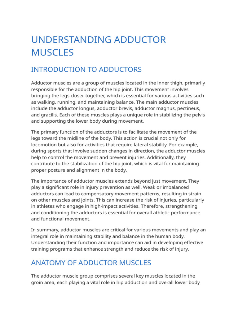 Understanding Adductor Muscles | PDF | Anatomical Terms Of Motion | Hip