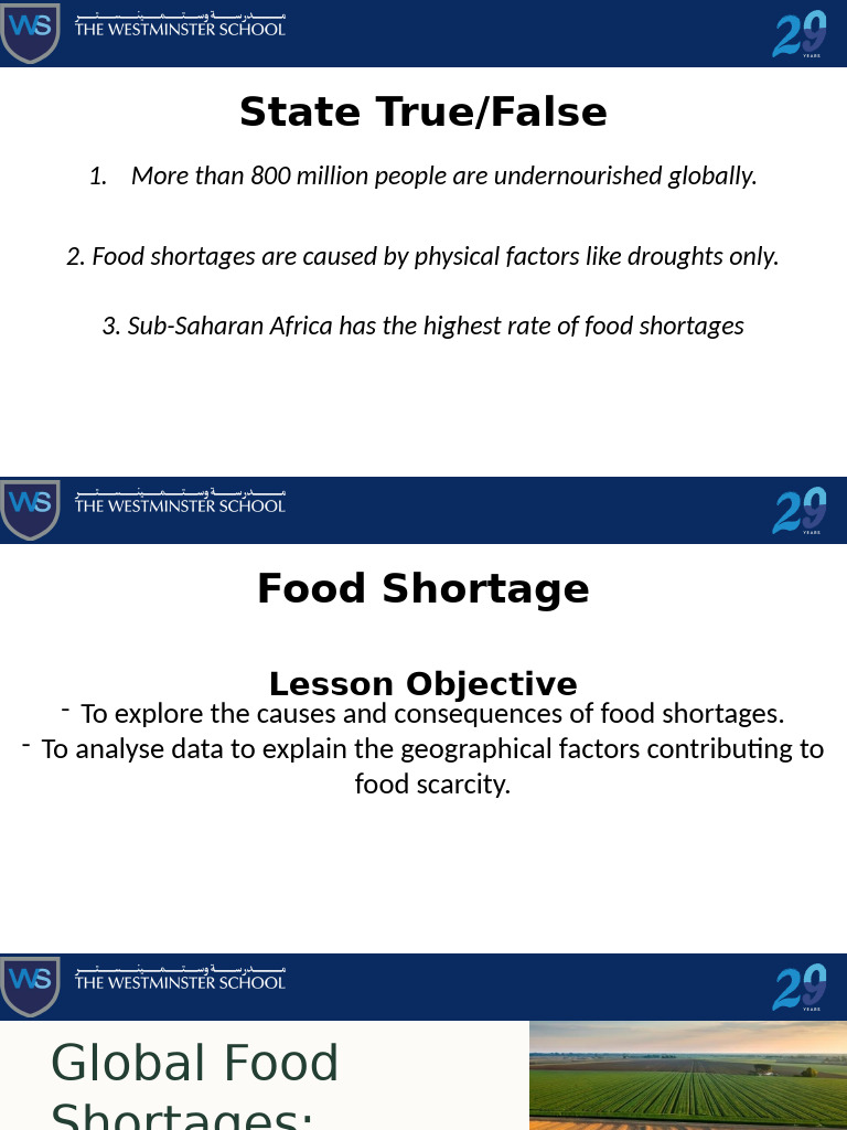 Global Food Shortages Causes and Effects PDF Food Security