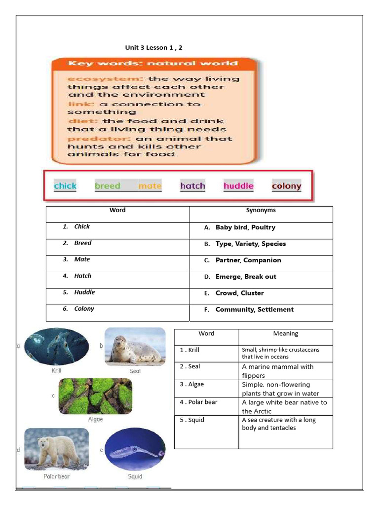 Grade 6 | PDF
