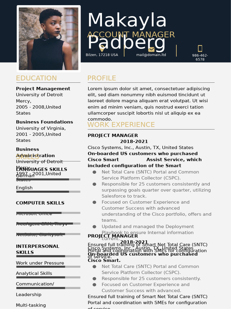 Modern CV | PDF | Business Economics | Information Technology Companies ...